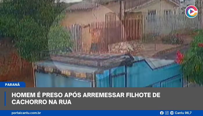 Homem é preso após arremessar filhote de cachorro na rua