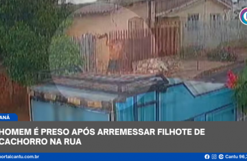 Homem é preso após arremessar filhote de cachorro na rua