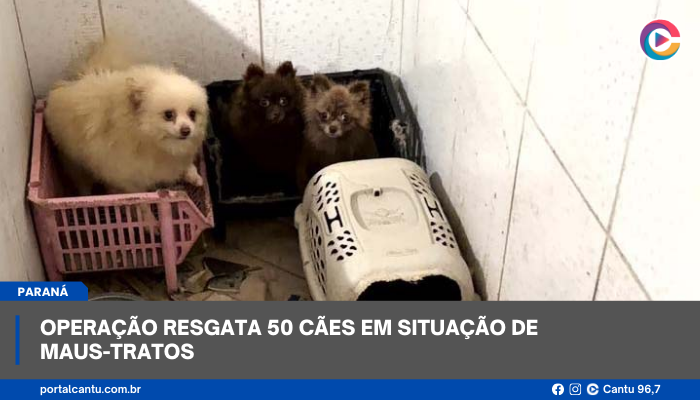 Operação resgata 50 cães da em situação de maus-tratos