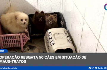 Operação resgata 50 cães em situação de maus-tratos
