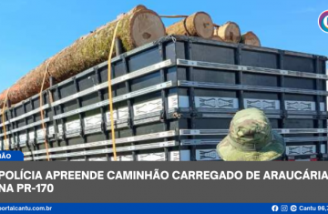 Pinhão - Polícia apreende caminhão carregado de araucária na PR-170