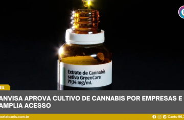 Anvisa aprova cultivo de cannabis por empresas e amplia acesso