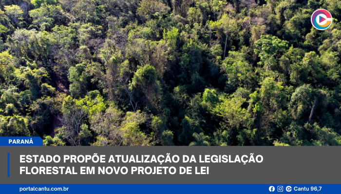 Estado propõe atualização da legislação florestal em novo projeto de lei