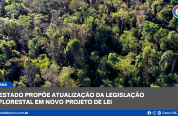 Estado propõe atualização da legislação florestal em novo projeto de lei