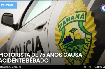 Palmital - Motorista de 75 anos causa acidente bêbado