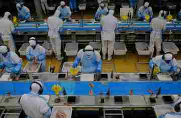  Com saldo de 21 mil postos de trabalho, Paraná fica entre os líderes em criação de empregos 