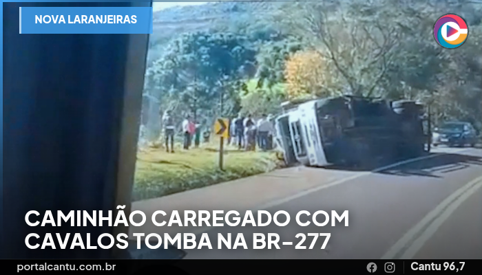 Nova Laranjeiras - Caminhão carregado com cavalos tomba na BR-277