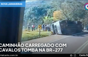 Nova Laranjeiras - Caminhão carregado com cavalos tomba na BR-277