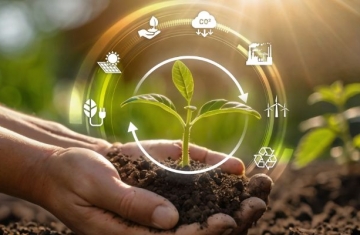 Primato mede pela primeira vez sua pegada de carbono e conquista selo prata em inventário de emissões