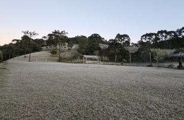 Municípios do Paraná amanhecem nesta quarta com geada e recorde de temperatura mínima
