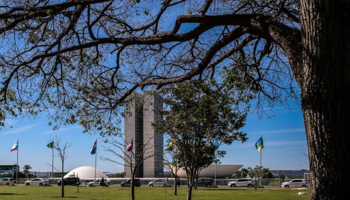 Congresso aumenta punição a crimes sexuais online contra crianças