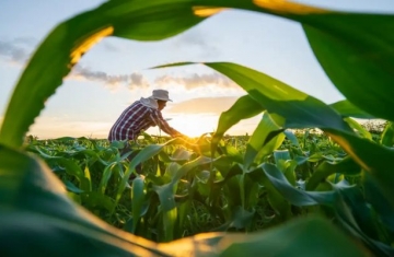 MP de dívida rural foca em perdas climáticas, diz Durigan