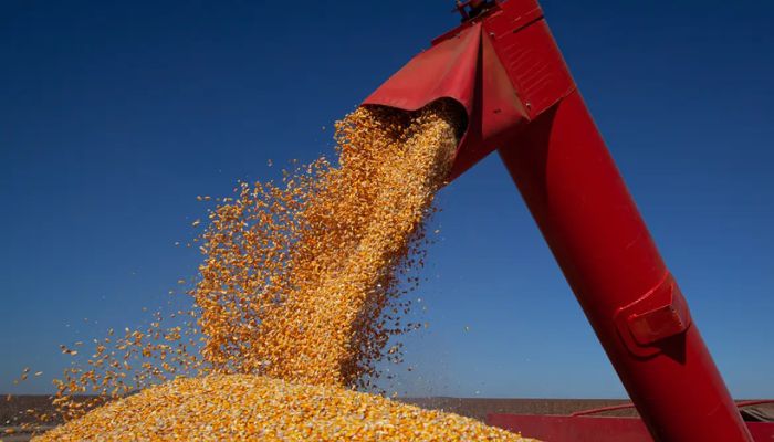 IBGE prevê safra de 347,4 milhões de toneladas para 2026