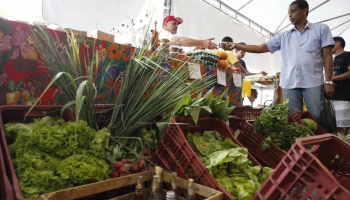 Decreto adia exigência de CNPJ para autônomos e produtores rurais