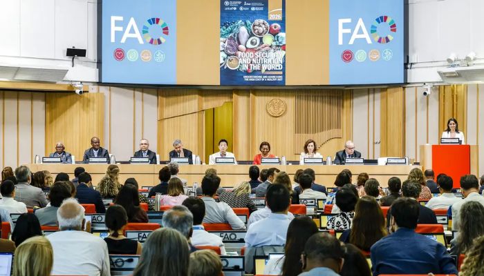 Brasil continua fora do Mapa da Fome, aponta relatório da ONU