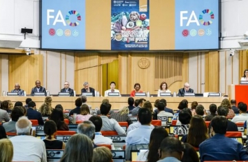 Brasil continua fora do Mapa da Fome, aponta relatório da ONU