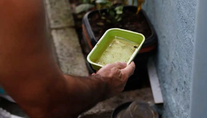 © Fernando Frazão/Agência Brasil El Niño pode aumentar casos de chikungunya e dengue no Brasil