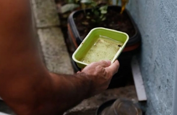 El Niño pode aumentar casos de chikungunya e dengue no Brasil