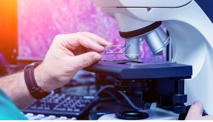 Foto: AdobeStock Por que mais jovens estão tendo câncer? Estudo aponta envelhecimento acelerado do organismo como possível explicação