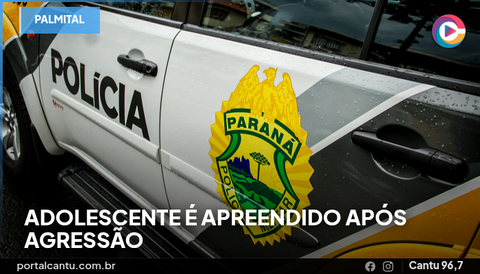 Palmital - Adolescente é apreendido após agressão