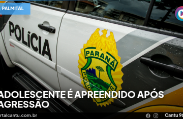 Palmital - Adolescente é apreendido após agressão