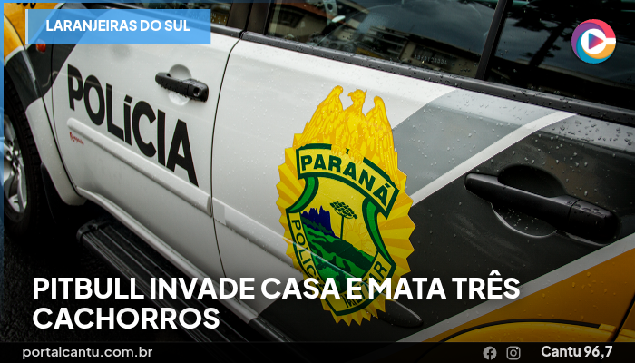 Foto: Reprodução Laranjeiras do Sul - Pitbull invade casa e mata três cachorros