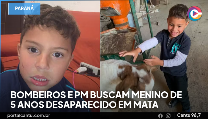 Bombeiros e PM buscam menino de 5 anos desaparecido em mata