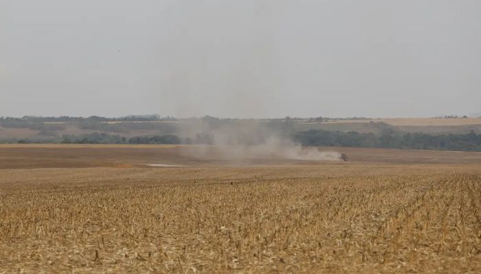 Estudo propõe avanços na rastreabilidade ambiental da soja e da carne
