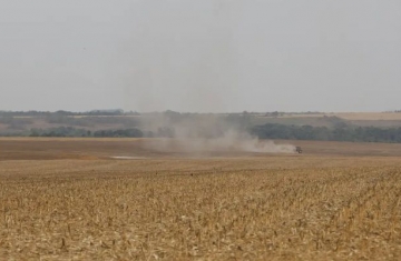 Estudo propõe avanços na rastreabilidade ambiental da soja e da carne