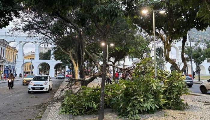 © Tânia Rêgo/Agência Brasil Meteorologistas dizem que não é possível associar ventanias ao El Niño