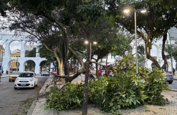 Meteorologistas dizem que não é possível associar ventanias ao El Niño