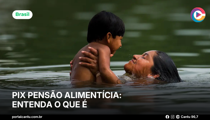 Foto: © Marcelo Camargo/Agência Brasil Pix Pensão Alimentícia: entenda o que é