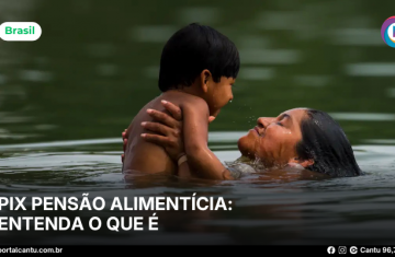 Pix Pensão Alimentícia: entenda o que é