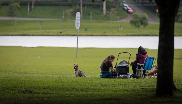Chuva diminui no Paraná até quinta-feira e temperaturas sobem gradativamente