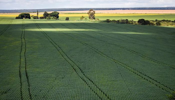© CNA/ Wenderson Araujo/Trilux Senado aprova plano para fabricação de fertilizantes no Brasil
