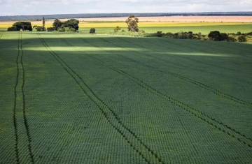 Senado aprova plano para fabricação de fertilizantes no Brasil