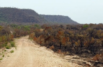 Mapbiomas: menor vegetação nativa expõe mais o país ao El Niño