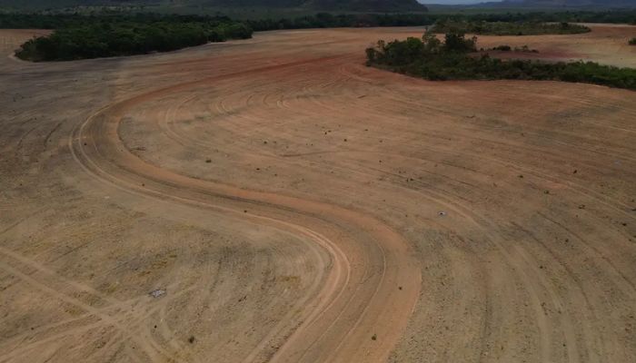 © Fernando Frazão/Agência Brasil Ambientalistas criticam decisão do STF sobre Moratória da Soja