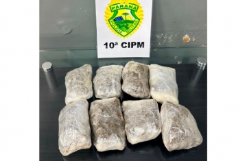 Laranjeiras – Rotam apreende drogas em veículo na BR 277