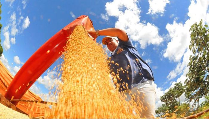 IBC-Br recuou 0,6% em junho, diz Banco Central