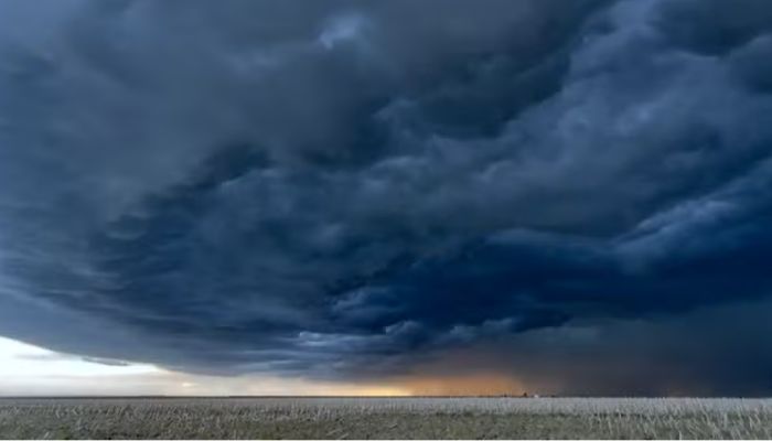Como o 'Super El Niño' pode afetar economia global e fazer subir os preços de alimentos