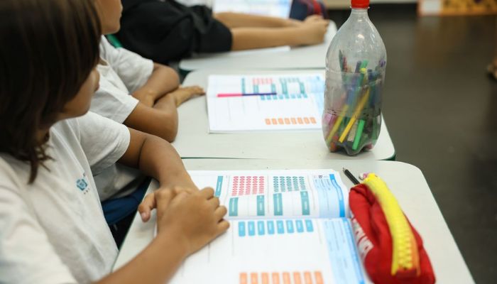 MEC lança diretrizes para ensino de arte na educação básica
