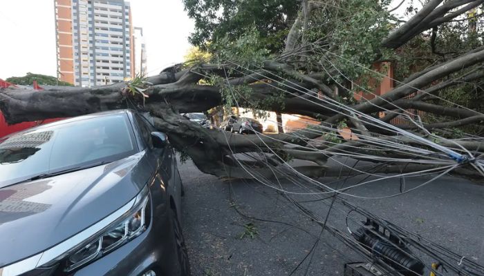 Respostas à crise climática exigem inovação, defende setor elétrico 