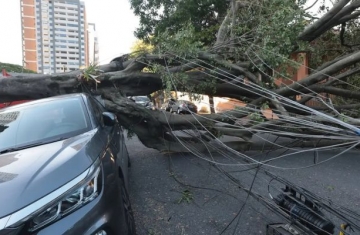 Respostas à crise climática exigem inovação, defende setor elétrico 