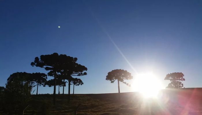 Foto: Celmir Oliveira Telles/Arquivo pessoal Frente fria traz frio e mínimas invertidas ao Paraná; veja a previsão para fim de semana