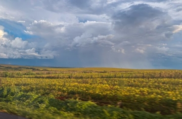 Semana intercala chuvas isoladas e dias de sol no Paraná, prevê Simepar