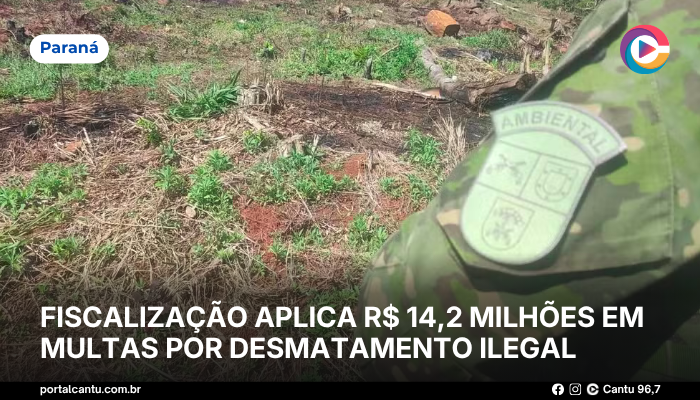 Fiscalização aplica R$ 14,2 milhões em multas por desmatamento ilegal