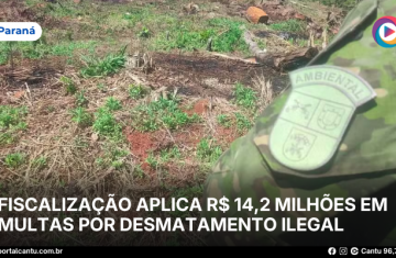 Fiscalização aplica R$ 14,2 milhões em multas por desmatamento ilegal
