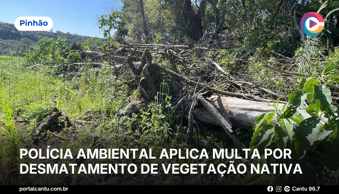 Pinhão - Polícia Ambiental aplica multa por desmatamento de vegetação nativa