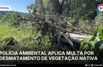 Pinhão - Polícia Ambiental aplica multa por desmatamento de vegetação nativa
